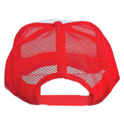 CAP 004 R 2 1