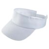 VISERA SUMMER