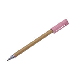 ECO 070 P 3 1