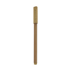 ECO 070 Y 1 1