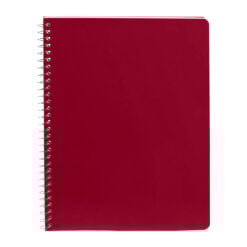 CUADERNO PROFESIONAL