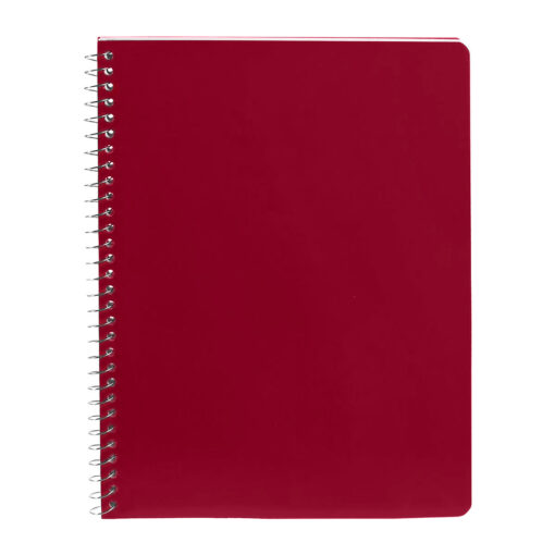 CUADERNO PROFESIONAL