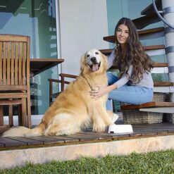 PET 005 B 2 1