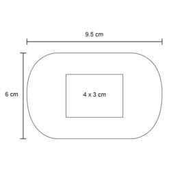 ECOLE - Imagen 2