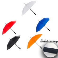 RAIN - Imagen 2