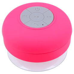 SO 026_ROSA