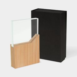 Reconocimiento lynor - BEIGE