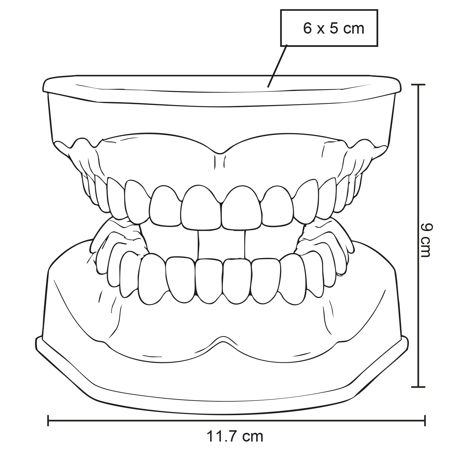 ODONTO · Foto 3
