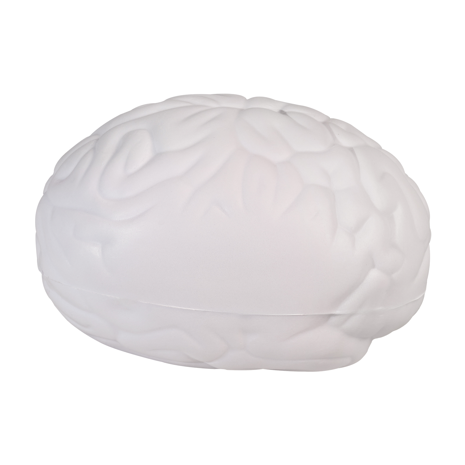 CEREBRO · Foto 4