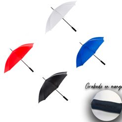 RAIN PM 02 — Vista general