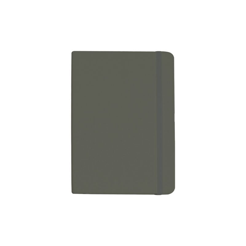 GRIS