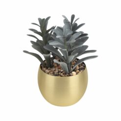 PLANTA DECORATIVA DAKAR — DORADO